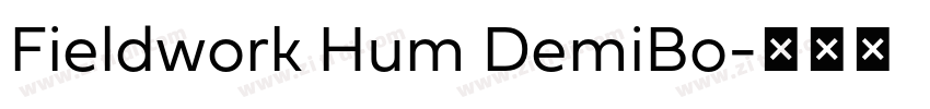 Fieldwork Hum DemiBo字体转换